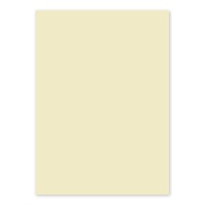 25 FEUILLES 120g 8½x11 IVOIRE
