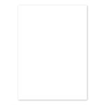 25 FEUILLES 120g 8½x11 BLANCHE