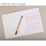 Cahier piqué à réglures particulières