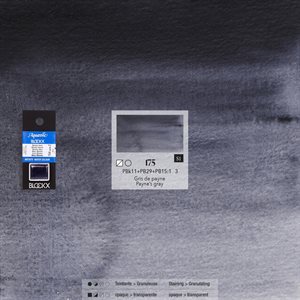 Aquarelle Gris De Payne - 1 / 2 godet