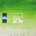 Watercolour Sap green - half pan