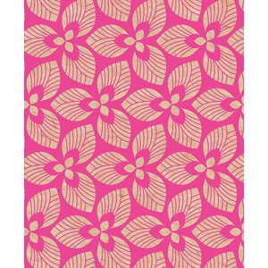 #Kraft brut 70g, rl Feuilles 2x0,70m