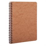 Age Bag Wirebound Notebook