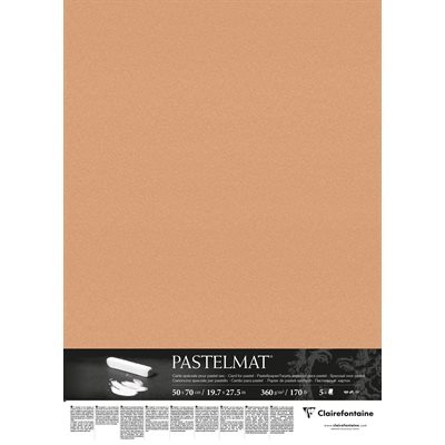 PASTELMAT 360g 5fls 50x70 SIENNE PASTELMAT 360g 5fls 50x70 SIENNE