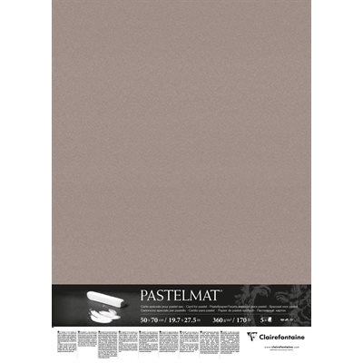 PASTELMAT 360g 5fls 50x70 GRIS FONCÉ PASTELMAT 360g 5fls 50x70 GRIS FONCÉ