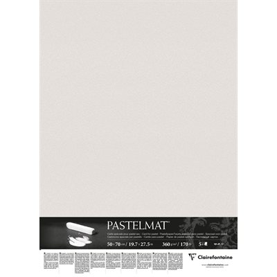 PASTELMAT 360g 5fls 50x70 GRIS CLAIR PASTELMAT 360g 5fls 50x70 GRIS CLAIR