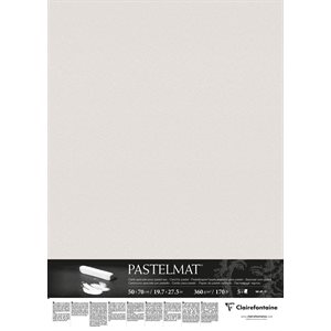 PASTELMAT 360g 5fls 50x70 GRIS CLAIR