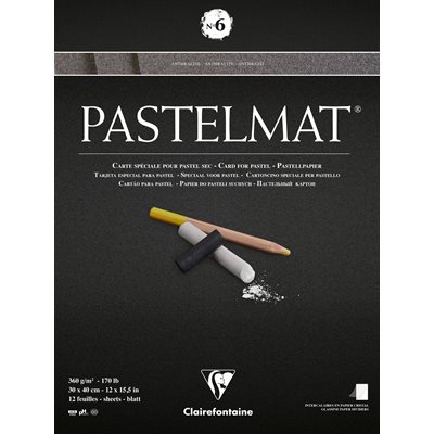 PASTELMAT 360g 30x40 TEINTES #6 PASTELMAT 360g 30x40 TEINTES #6