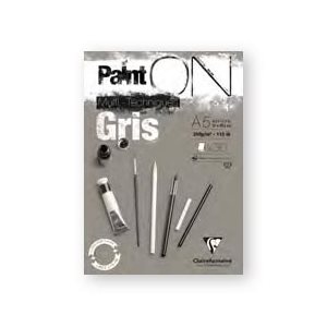 PAINT ON GRIS 250g 30fls A5