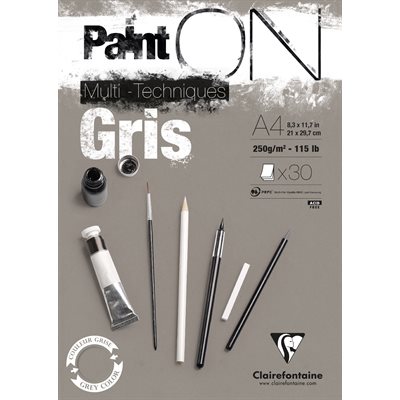 PAINT ON GRIS 250g 30fls PAINT ON GRIS 250g 30fls
