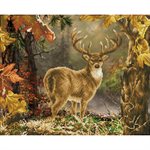 maLe Prince de la Forest 60x50