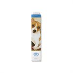 maChien et Courtepointe 58.5x48.5