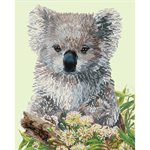 maKoala et Eucalyptus 59x49
