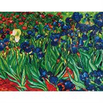 maIris (VanGogh) 80x64