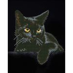 Chat de Minuit 35X43