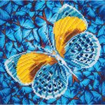maFlutter by Gold 38x38
