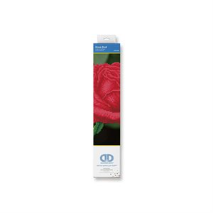 Rose Rouge 38.5x38.5