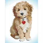 Lovely Boy 40x50