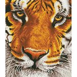 maBengal Magic 44x50