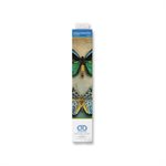 maAntique Butterflies 45x59.5
