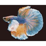 maLuminous Fish 55x45