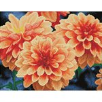 maDahlias Pêches 53x43