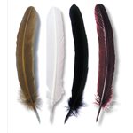 GOOSE QUILLS 28cm  ASSORTED