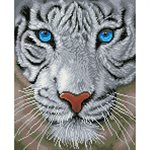 Tigre Blanc 50x42